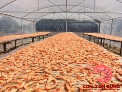 TÔM KHÔ CON TÔM RỪNG LOẠI 1