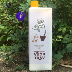 SÚC MIỆNG CHÀ RĂNG VƯỜN TRẦU VIETHERB