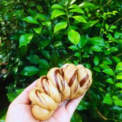 BÁNH BAO MEN TỰ NHIÊN