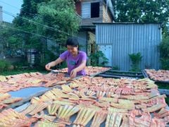 MĂNG LE KHÔ ÔNG THẮNG