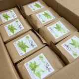  Trà lài thượng hạng Bảo Lộc gói 500g 
