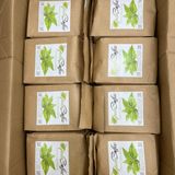  Trà lài thượng hạng Bảo Lộc gói 500g 