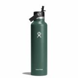  Bình nước giữ lạnh Hydro Flask Standard Flex Straw Cap 21 Oz (621ml) S21FS (Season 2024) 