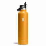  Bình nước giữ lạnh Hydro Flask Standard Flex Straw Cap 21 Oz (621ml) S21FS (Season 2024) 
