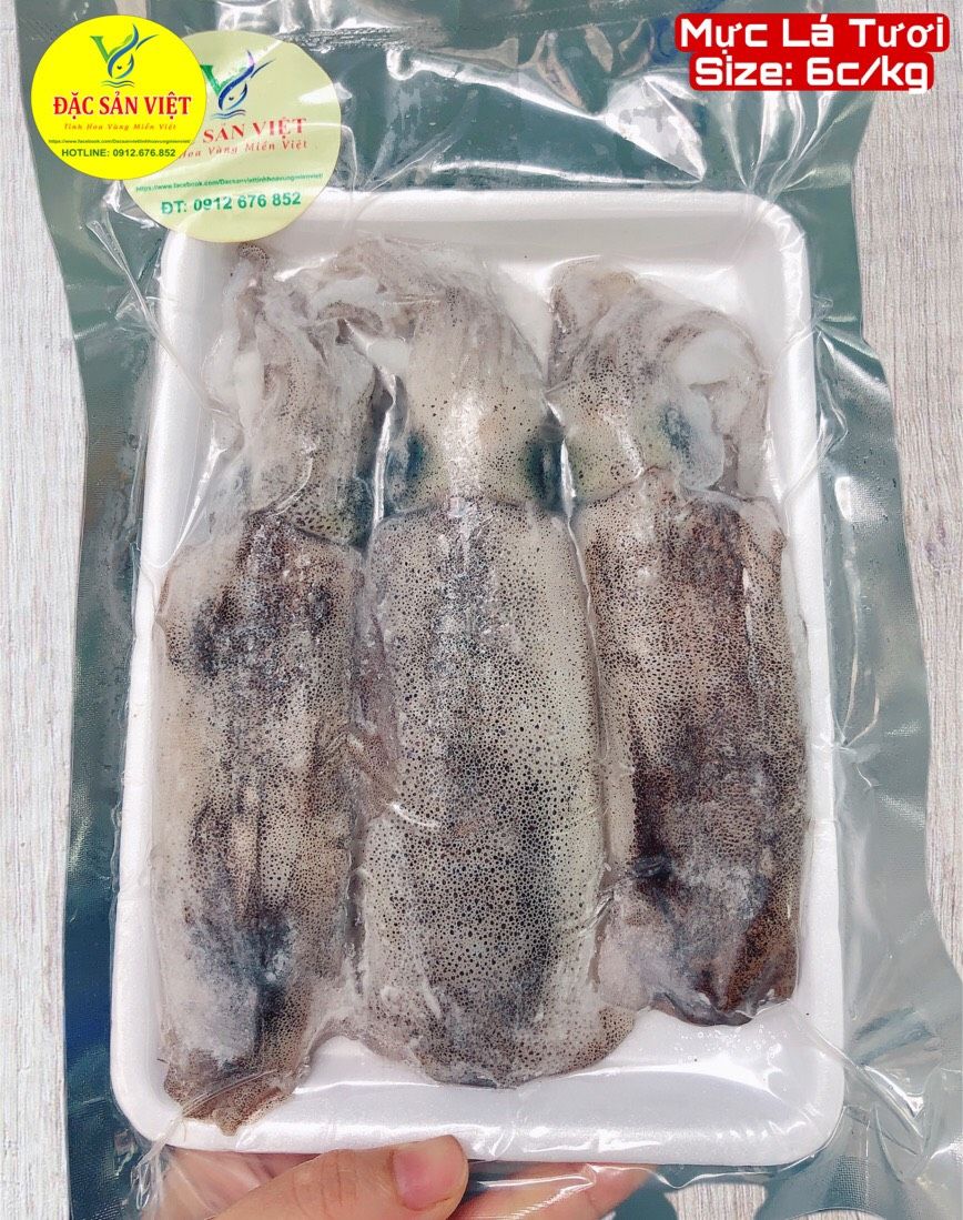  Mực Lá Tươi (Size 6 con/kg) 