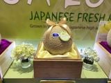  Dưa Giống Nhật Musk Melon 