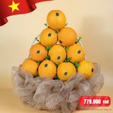  Giỏ Cam Navel Mỹ Tone Cam Tiêu Chuẩn 