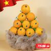 Giỏ Cam Navel Mỹ Tone Cam Tiêu Chuẩn – Quà Tặng 30/4