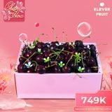  Hộp Quà 08/03 Ngọc Hoa Kết Trái 