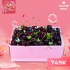 Hộp Quà 08/03 Ngọc Hoa Kết Trái