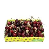  Cherry Jumbo Organic New Zealand 
