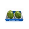 Bơ giống Cuba trồng tại Việt Nam khay 02 quả