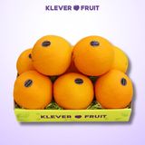  Cam Navel Mỹ - Cam Vàng Mỹ 