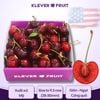 Cherry Jumbo Mỹ