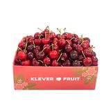  Cherry Super Big New Zealand 