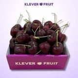  Cherry Top Mỹ Size Đại 8 Row (34-36mm) - USA Cherry 