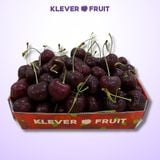  Cherry Top Mỹ Size Đại 8 Row (34-36mm) - USA Cherry 