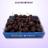  Cherry Top Mỹ Size Đại 8 Row (34-36mm) - USA Cherry 