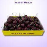  Cherry Top Mỹ Size Đại 8 Row (34-36mm) - USA Cherry 