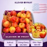  Cherry Vàng Rainier Jumbo Mỹ Size 9.5 Row (28 - 30mm) - USA Cherry 