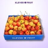  Cherry Vàng Rainier Mỹ VIP - Cherry Vàng Gee Whiz Đẳng Cấp - USA Rainier Cherry 