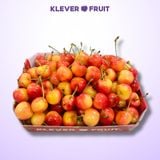  Cherry Vàng Rainier Mỹ VIP - Cherry Vàng Gee Whiz Đẳng Cấp - USA Rainier Cherry 
