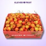  Cherry Vàng Rainier Mỹ VIP - Cherry Vàng Gee Whiz Đẳng Cấp - USA Rainier Cherry 