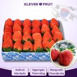  Dâu Tây Hàn Quốc 
