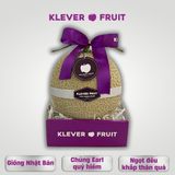  Dưa Giống Nhật Musk Melon 