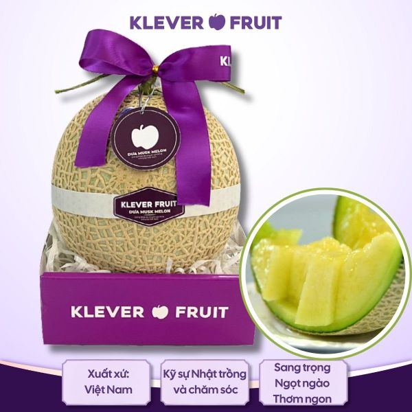 Dưa Giống Nhật Musk Melon