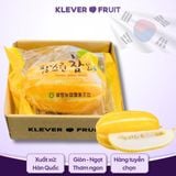  Dưa Lê Vàng Hàn Quốc 