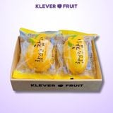  Dưa Lê Vàng Hàn Quốc 