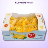  Dưa Lê Vàng Hàn Quốc 