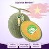  Dưa lưới biển Hằng Nga Việt Nam 