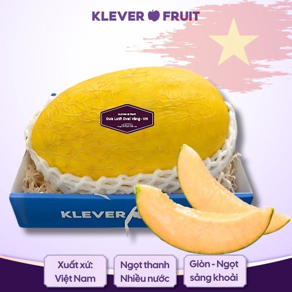Dưa Lưới Oval Vàng Việt Nam