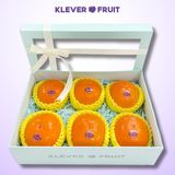  Hồng Hot House New Zealand 