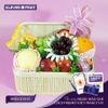 Hộp Quà 21/6 999k - Trái Cây Sang Trọng, Tri Ân Nhà Báo | Klever Fruit