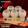 Hộp Quà Tết Lê Niitaka Nhật Bản