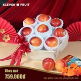  Hộp Quà Tết Xuân Đào Vàng Úc 