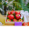 Hộp quà trái cây táo Diva New Zealand tặng lễ 20/11 giá 515k