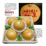  Hộp quà Lê Hosui Nhật Bản 