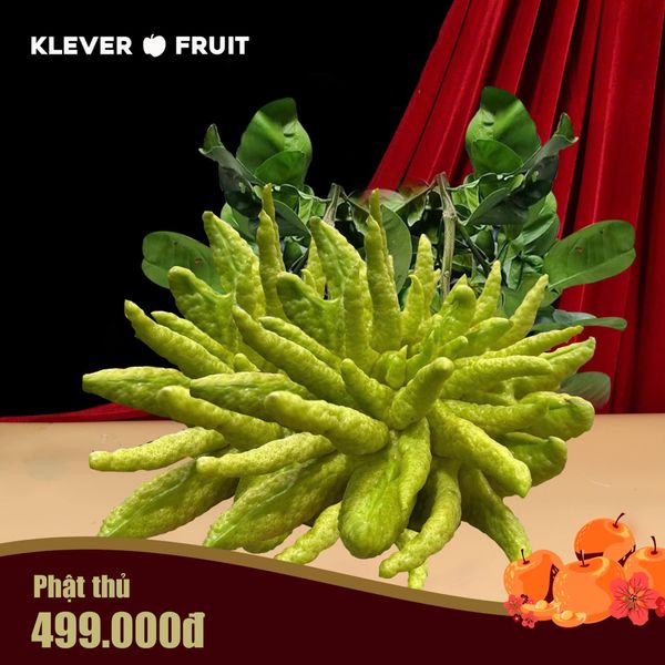Phật Thủ tại Klever Fruit