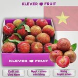  Mận hậu Mộc Châu Việt Nam 