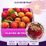  Mận hậu Mộc Châu Việt Nam 