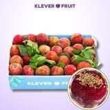  Mận hậu Mộc Châu Việt Nam 