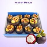  Măng Cụt Việt Nam 