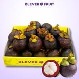  Măng Cụt Việt Nam 