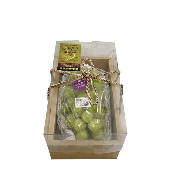 Nho Hàn Golden Shine Muscat của Klever Fruit