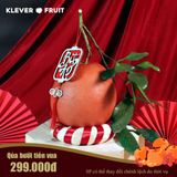  Quà Tết Truyền Thống Bưởi Đỏ Tiến Vua 