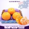 Quýt Úc Klever Fruit